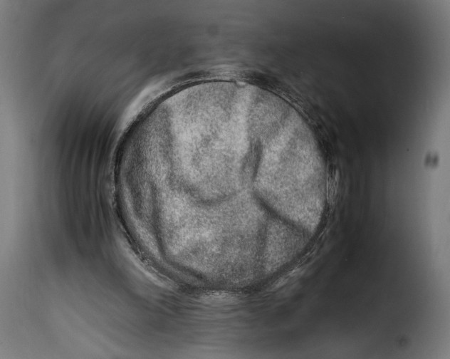 X0000115020198200911231258