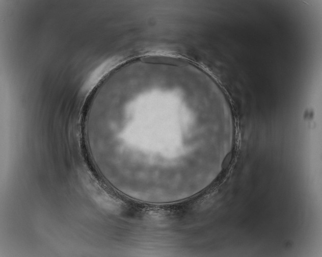 X0000115020199200911231258