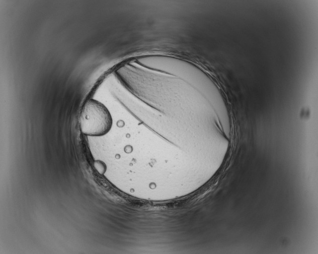 X0000115020200200911231258