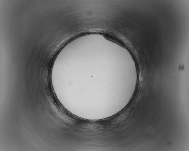 X0000115020201200911231258