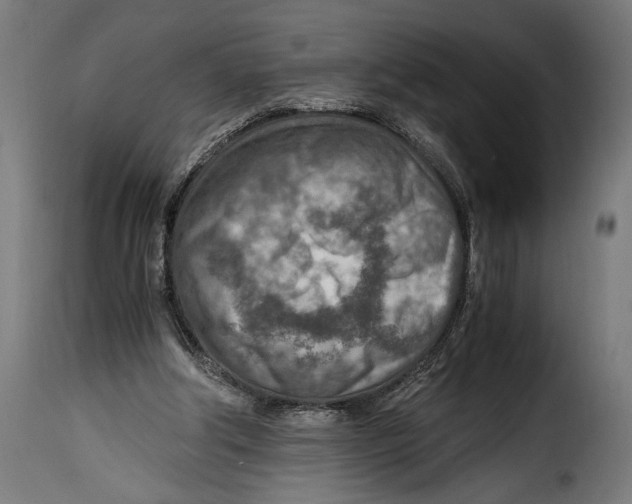 X0000115020202200911231258