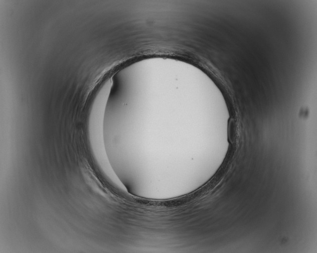 X0000115020203200911231258