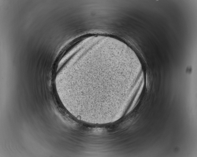 X0000115020204200911231258