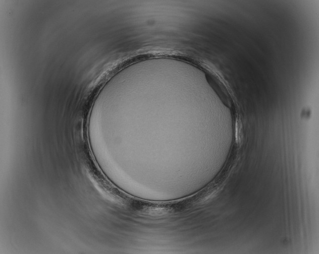 X0000115020205200911231258