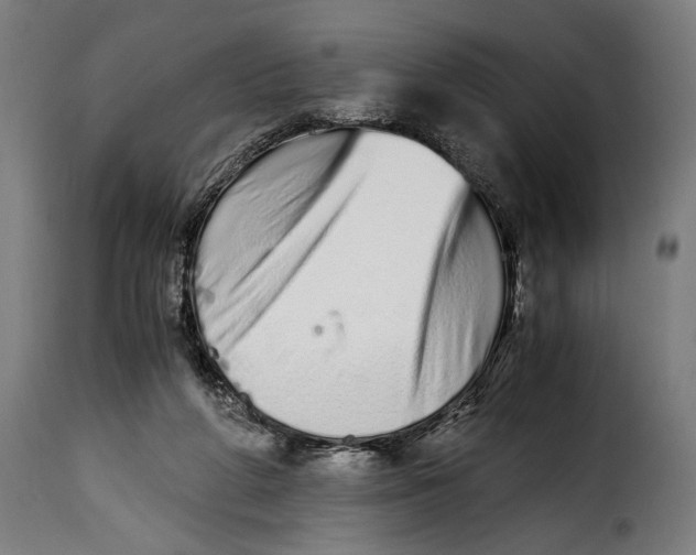 X0000115020210200911231258