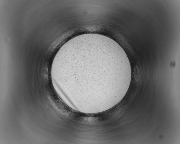 X0000115020212200911231258