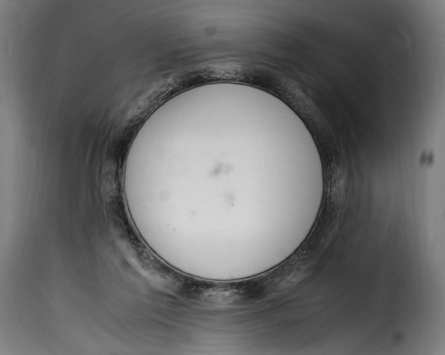 X0000115020213200911231258