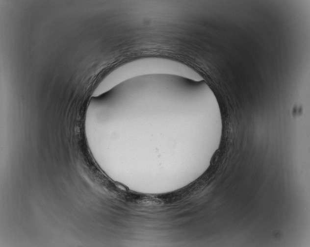 X0000115020215200911231258