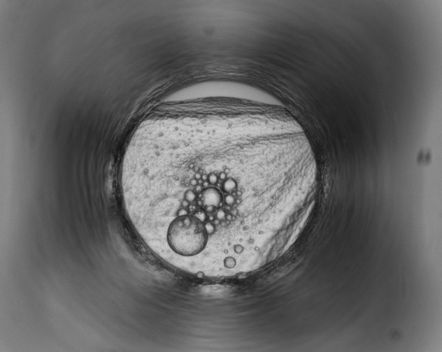 X0000115020216200911231258