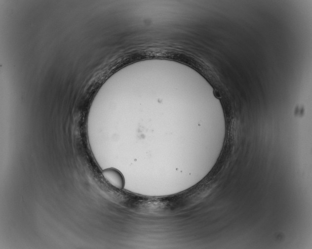 X0000115020217200911231258