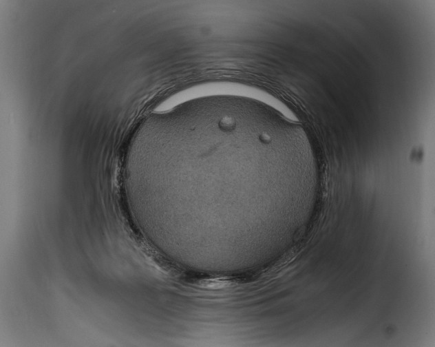 X0000115020219200911231258