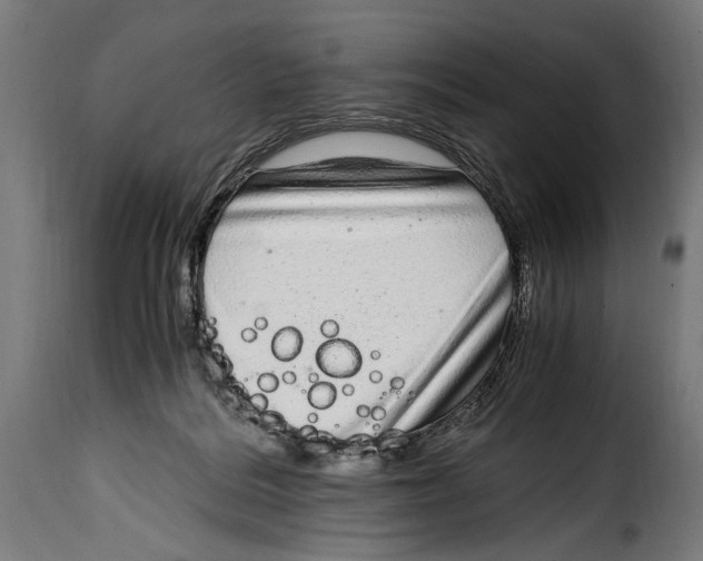 X0000115020220200911231258