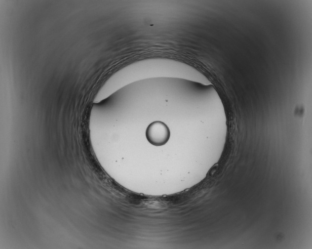 X0000115020221200911231257