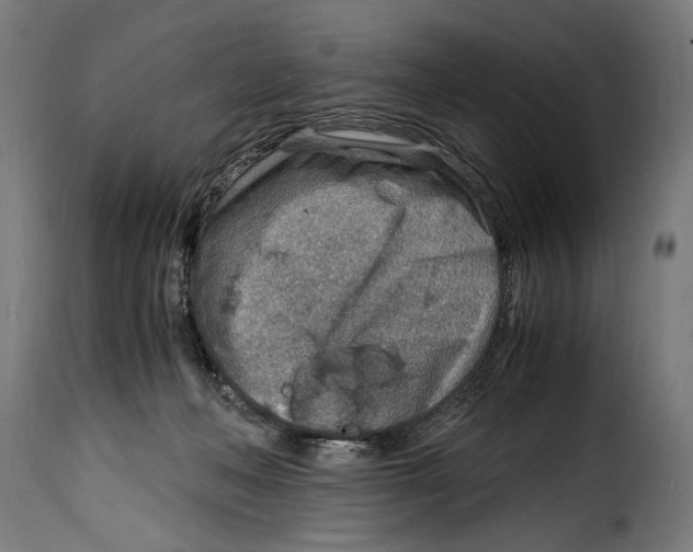 X0000115020222200911231257