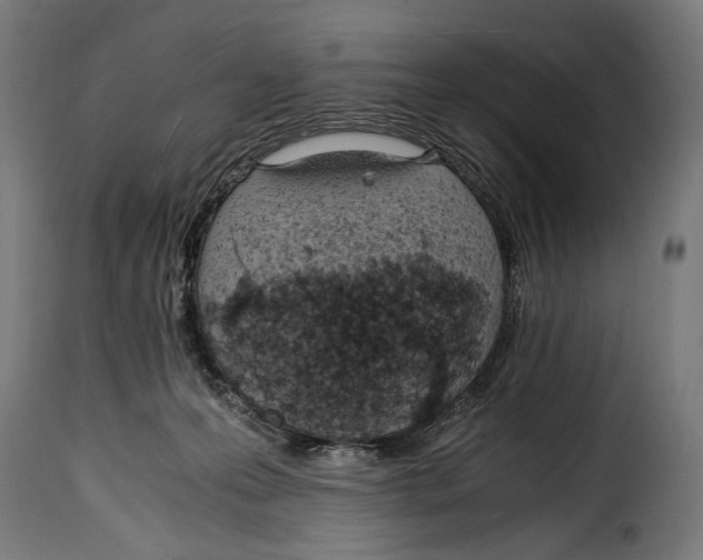 X0000115020223200911231257