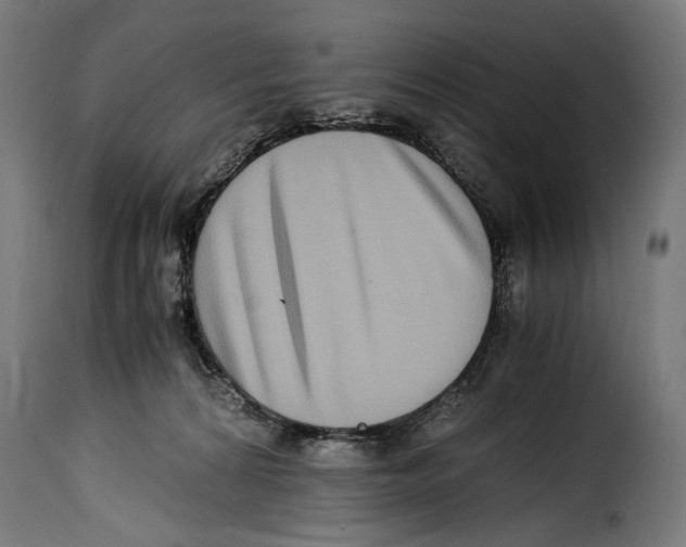 X0000115020224200911231257