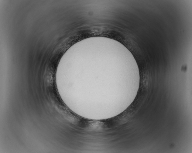 X0000115020226200911231257