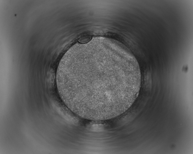 X0000115020228200911231257