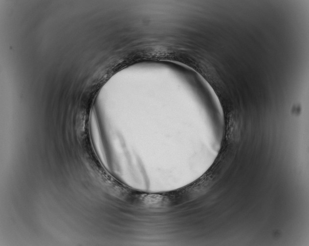 X0000115020230200911231257