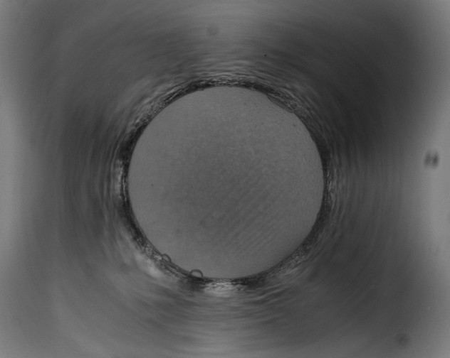 X0000115020231200911231257