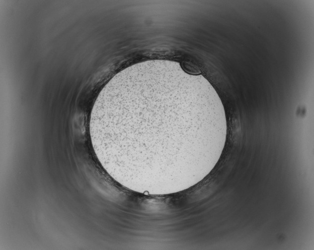 X0000115020232200911231257