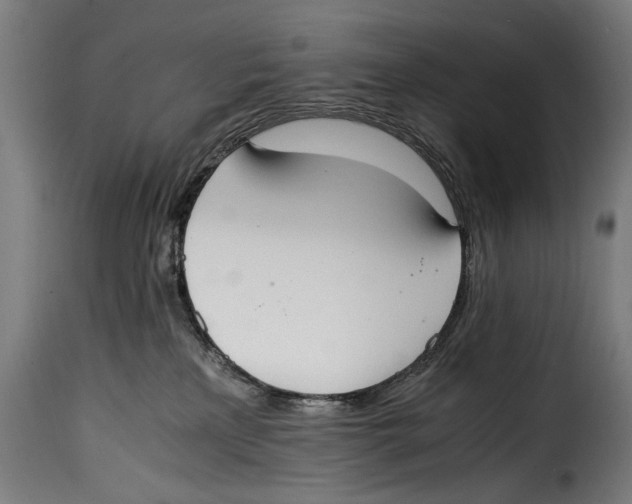 X0000115020233200911231257