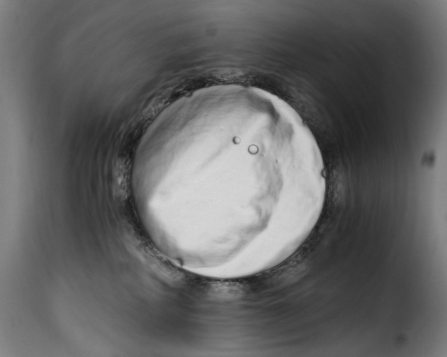 X0000115020234200911231257