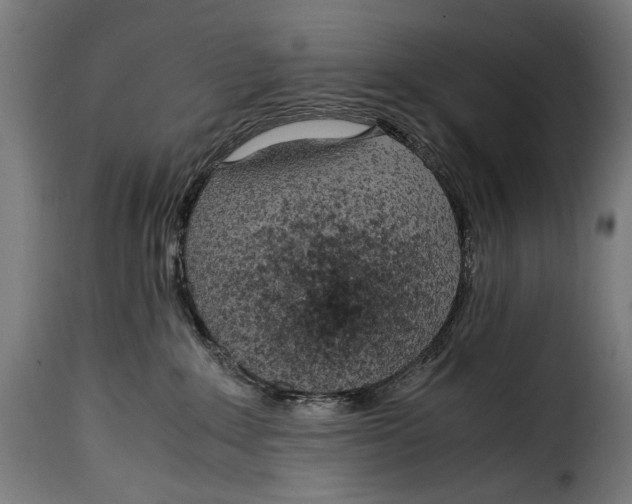 X0000115020235200911231257