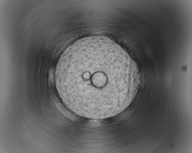 X0000115020238200911231257