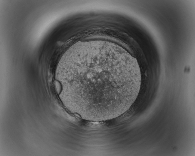 X0000115020239200911231257