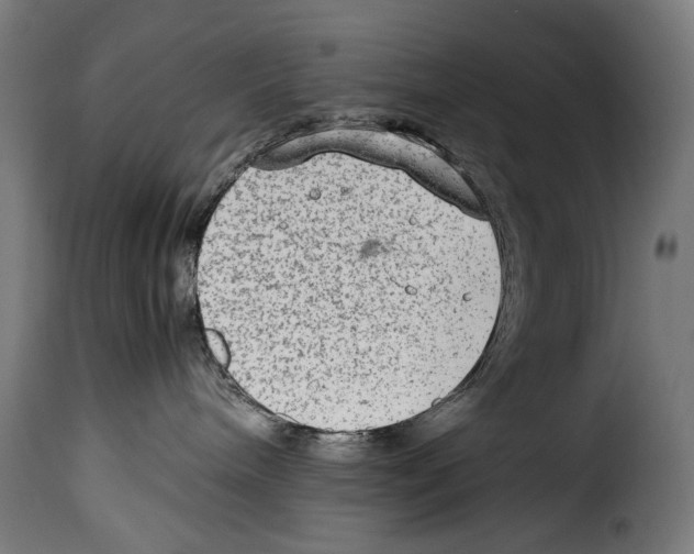 X0000115020240200911231257