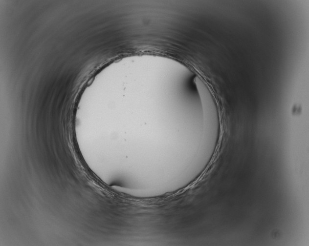 X0000115020241200911231257