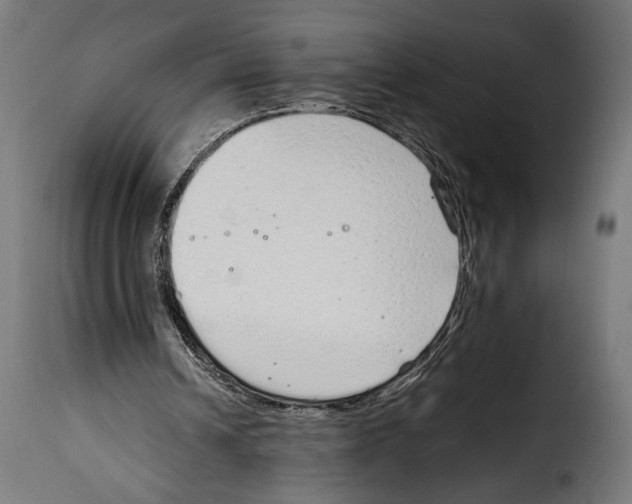 X0000115020242200911231257