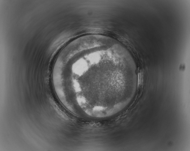 X0000115020243200911231257