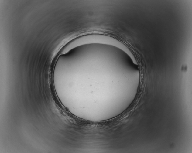 X0000115020244200911231257