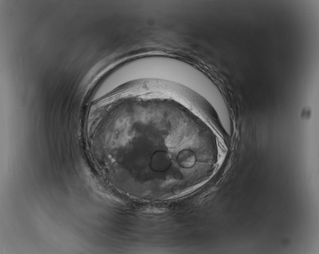 X0000115020247200911231257