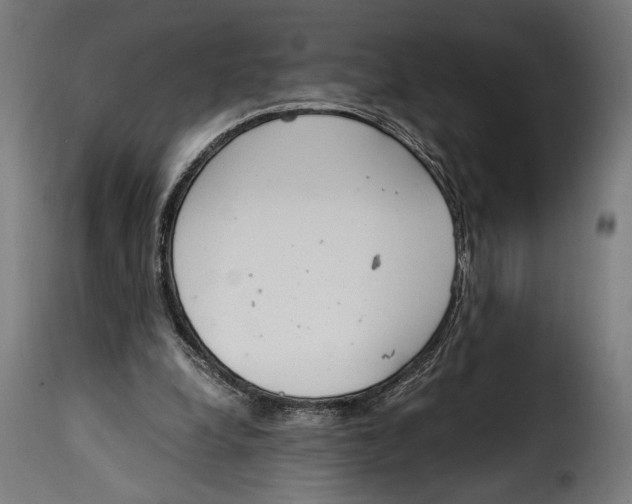 X0000115020248200911231257