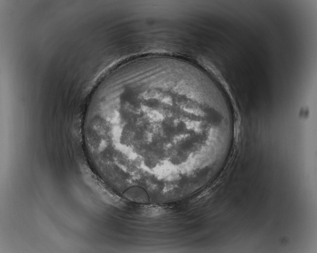 X0000115020249200911231257