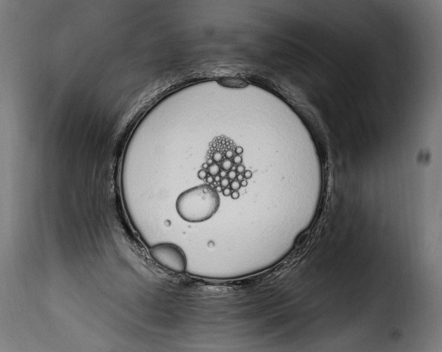 X0000115020250200911231257