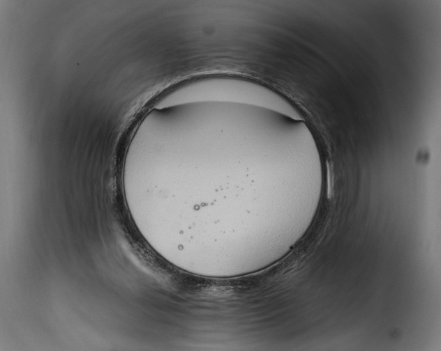 X0000115020252200911231257