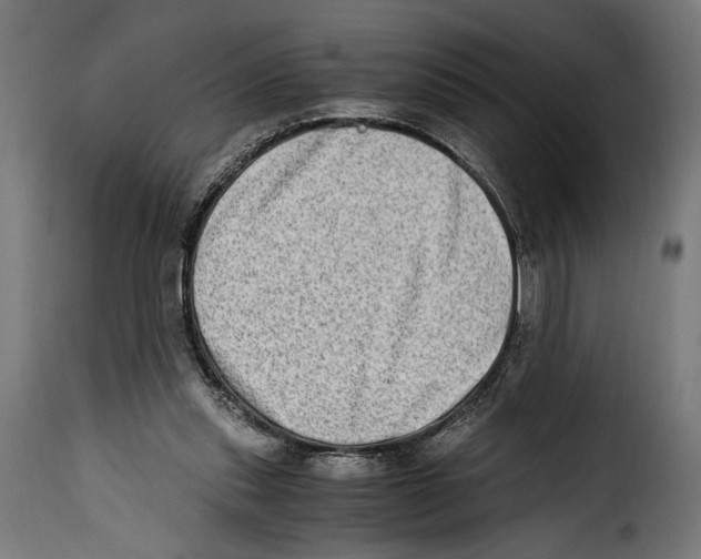 X0000115020253200911231257