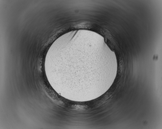 X0000115020255200911231257