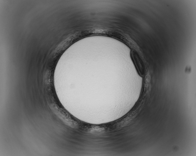 X0000115020257200911231257