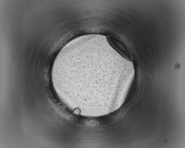 X0000115020258200911231257