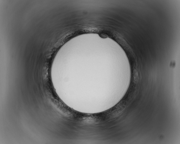 X0000115020259200911231257