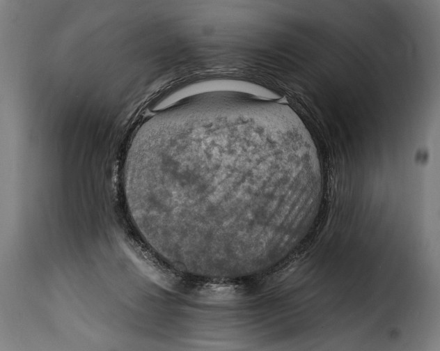 X0000115020260200911231257