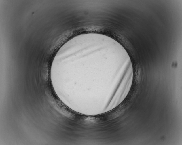 X0000115020261200911231257