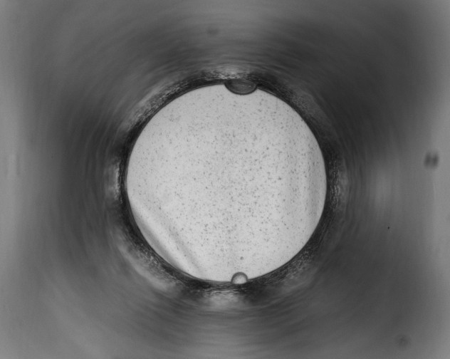 X0000115020262200911231257