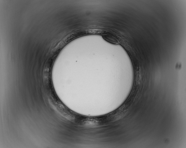 X0000115020263200911231257