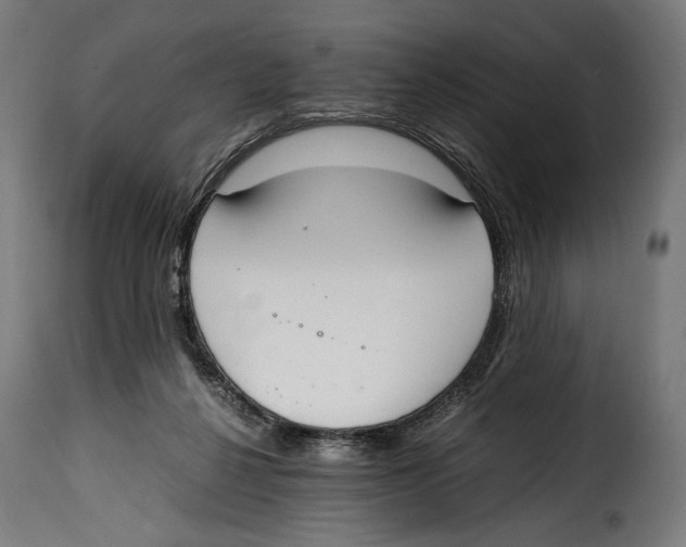 X0000115020264200911231257